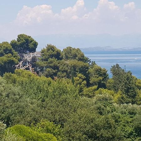 Mon Repos Panorama Apartman Corfu  Kültér fotó